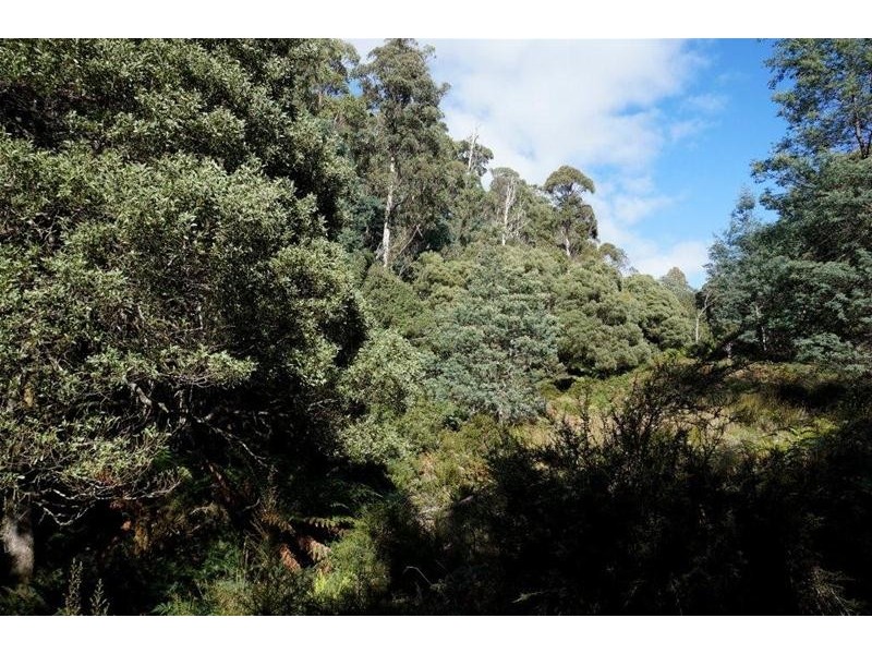 Lot 1 Dolcoath Road, Moina TAS 7310