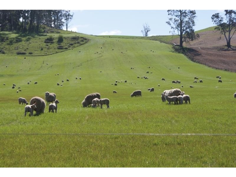 576 Bengeo Road, Red Hills TAS 7304