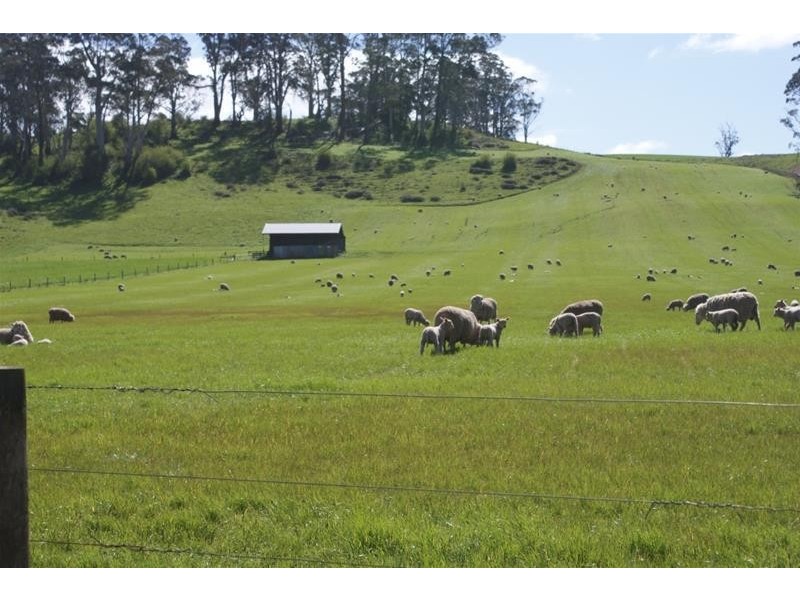 576 Bengeo Road, Red Hills TAS 7304