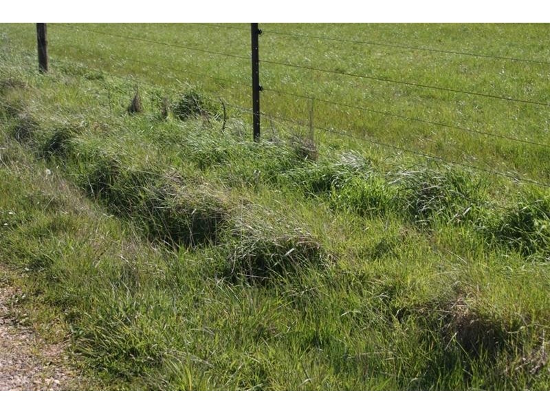 576 Bengeo Road, Red Hills TAS 7304