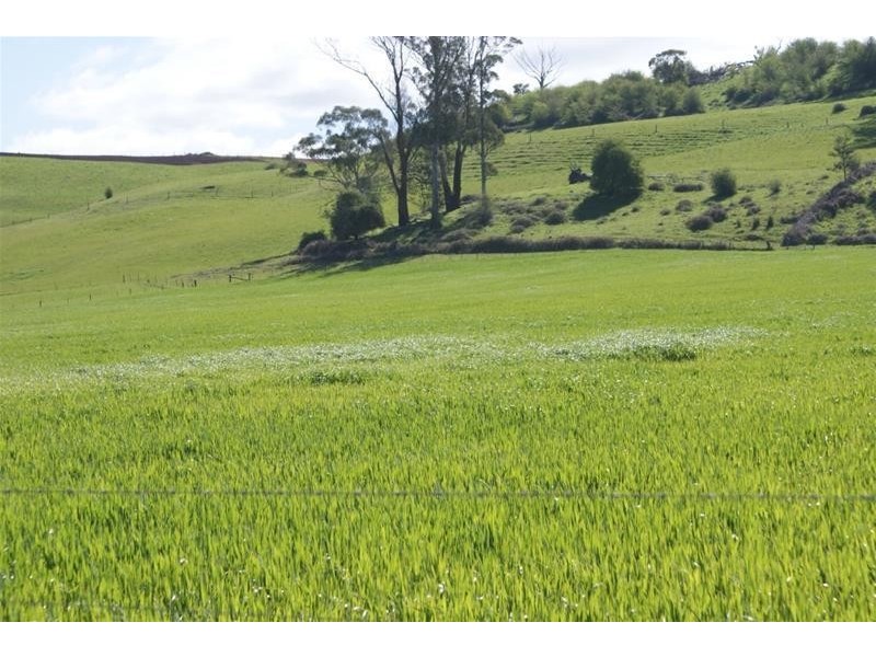576 Bengeo Road, Red Hills TAS 7304