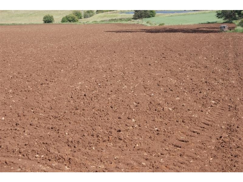 576 Bengeo Road, Red Hills TAS 7304