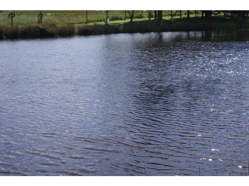 576 Bengeo Road, Red Hills TAS 7304