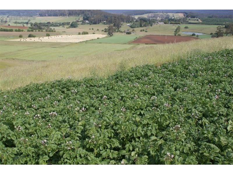 576 Bengeo Road, Red Hills TAS 7304