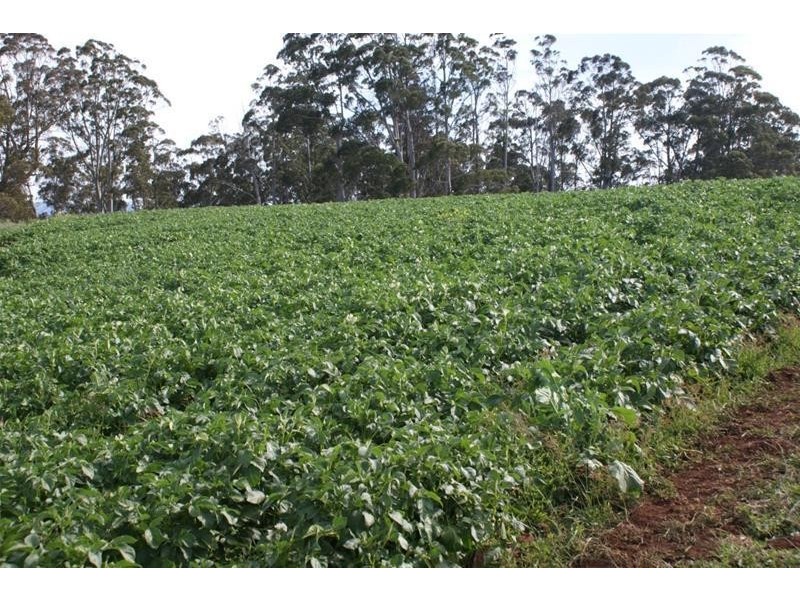 576 Bengeo Road, Red Hills TAS 7304