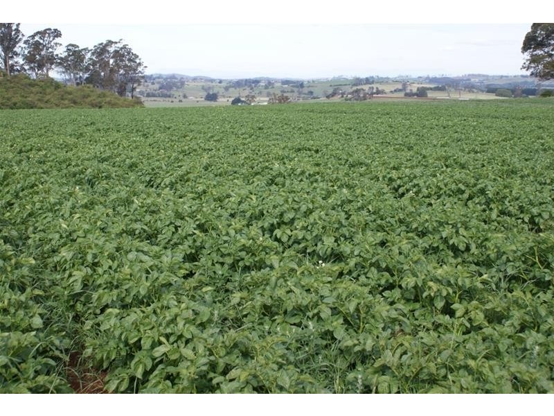 576 Bengeo Road, Red Hills TAS 7304