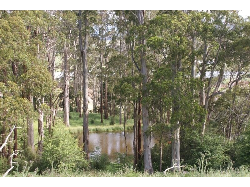 576 Bengeo Road, Red Hills TAS 7304