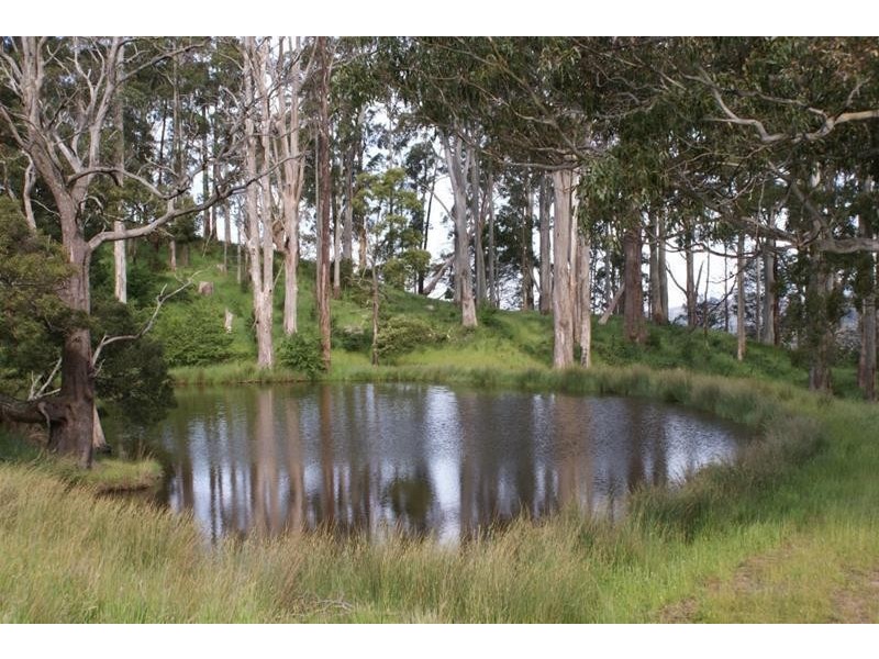 576 Bengeo Road, Red Hills TAS 7304