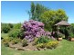 632 Bengeo Road, Red Hills TAS 7304