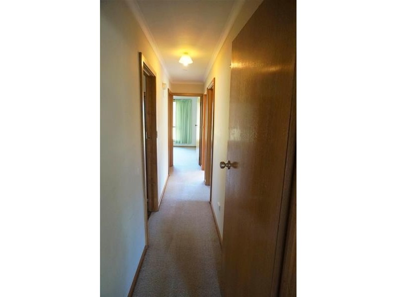 515  Liena Road, Mole Creek TAS 7304