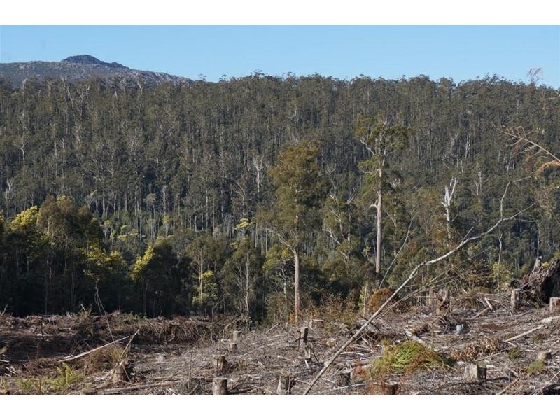 Lot 1 Gads Hill Road, Liena TAS 7304