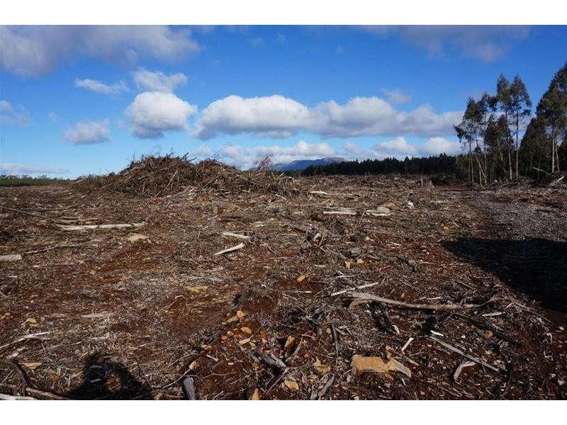 Lot 1 Gads Hill Road, Liena TAS 7304