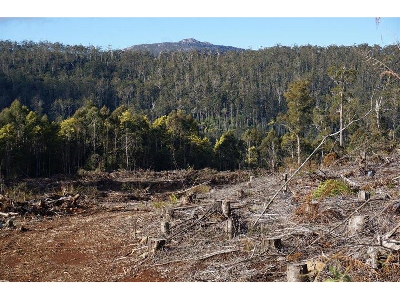 Lot 1 Gads Hill Road, Liena TAS 7304