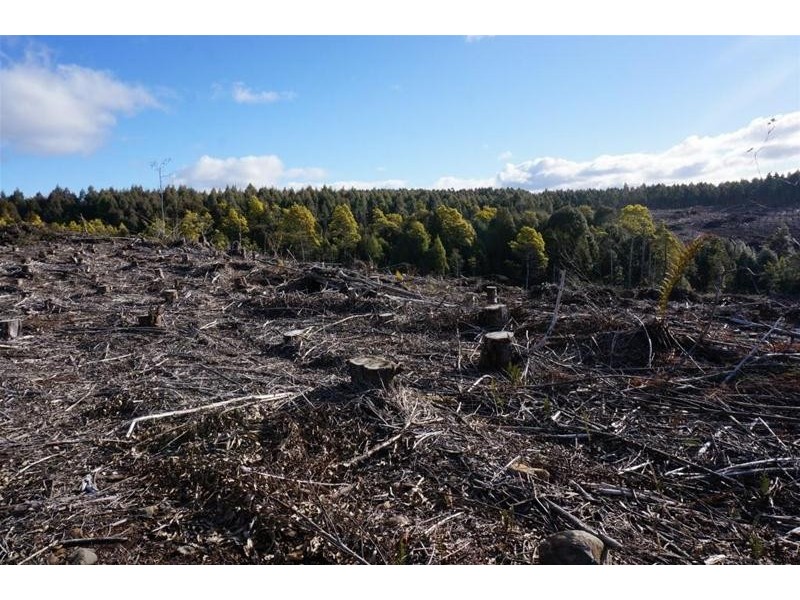 Lot 1 Gads Hill Road, Liena TAS 7304