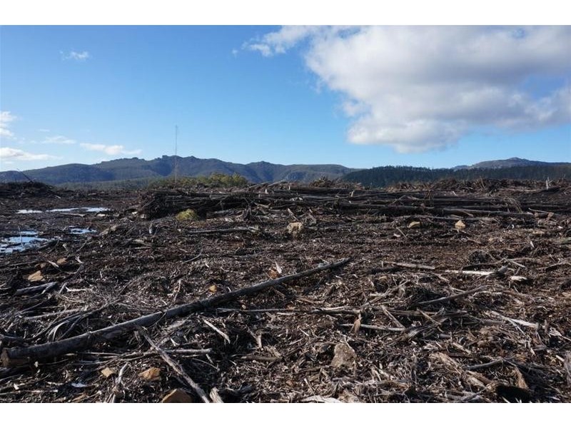 Lot 1 Gads Hill Road, Liena TAS 7304