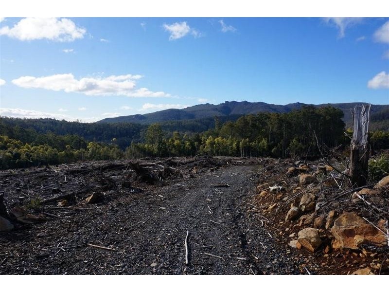 Lot 1 Gads Hill Road, Liena TAS 7304