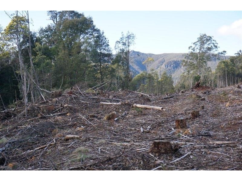 Lot 1 Gads Hill Road, Liena TAS 7304