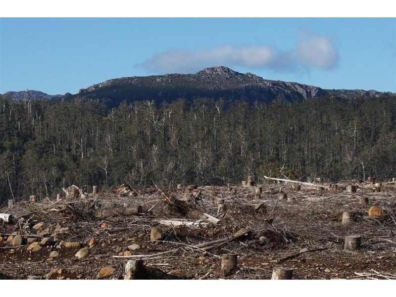 Lot 1 Gads Hill Road, Liena TAS 7304