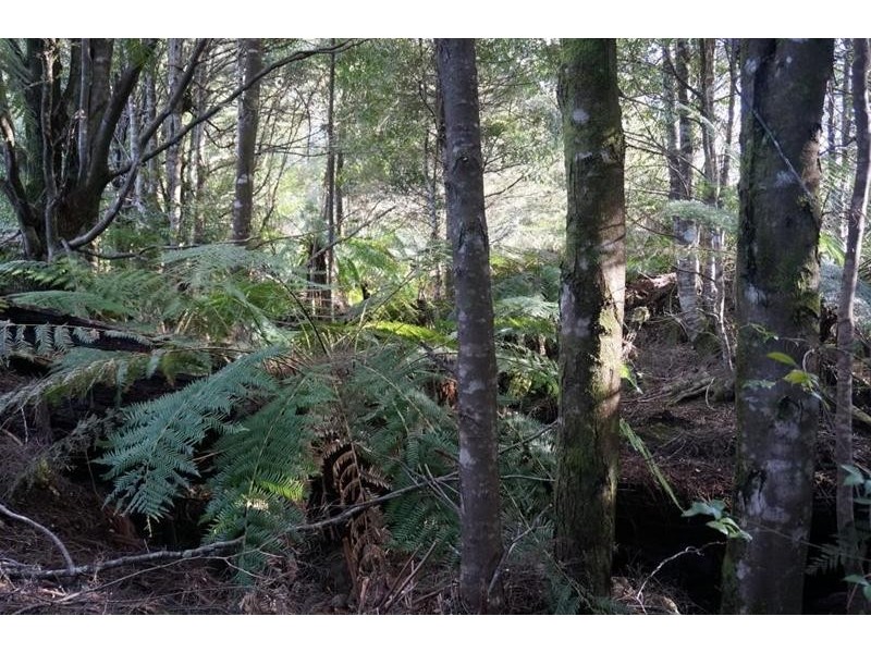 Lot 1 Gads Hill Road, Liena TAS 7304