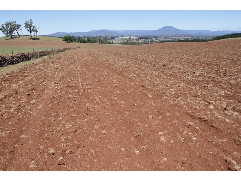 173 River Road, Deloraine TAS 7304