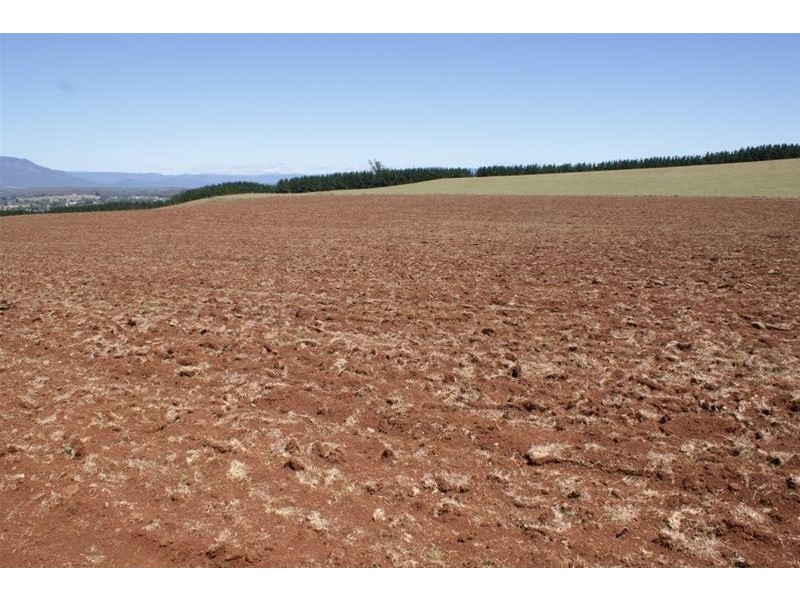 173 River Road, Deloraine TAS 7304