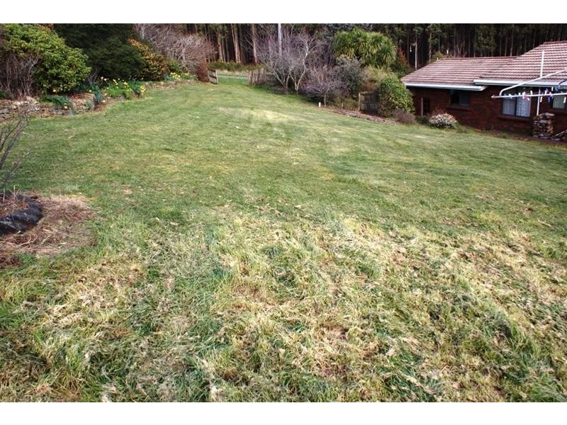 41 Pultney Street, Deloraine TAS 7304