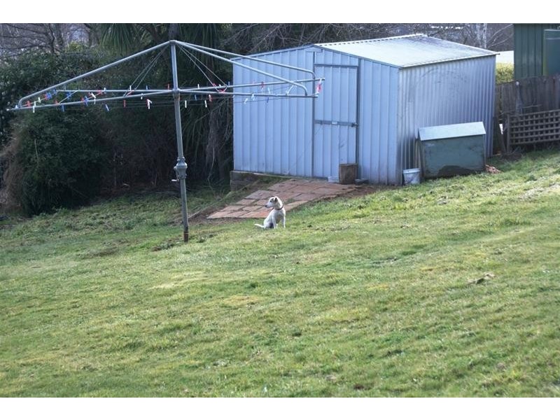 41 Pultney Street, Deloraine TAS 7304