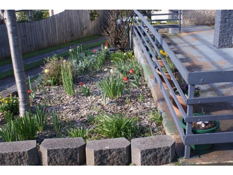 54  East Barrack Street, Deloraine TAS 7304