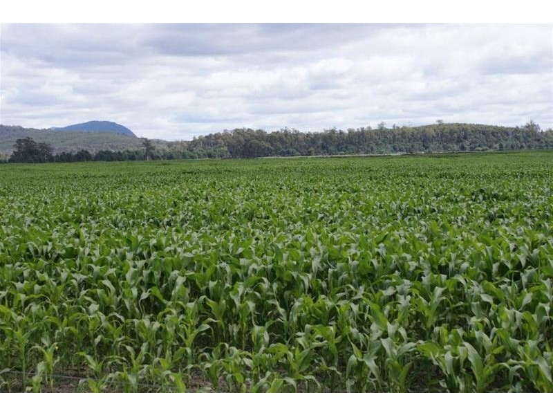 0 Highland Lakes Road, Deloraine TAS 7304