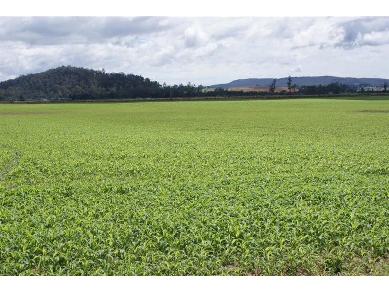 0 Highland Lakes Road, Deloraine TAS 7304