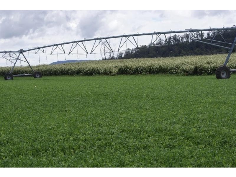 0 Highland Lakes Road, Deloraine TAS 7304