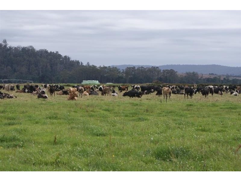 0 Highland Lakes Road, Deloraine TAS 7304