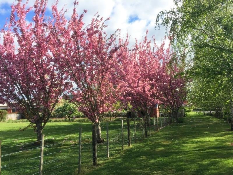 13 East Barrack Street, “Arcoona”, Deloraine TAS 7304