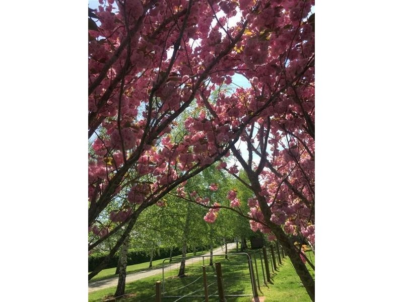 13 East Barrack Street, “Arcoona”, Deloraine TAS 7304