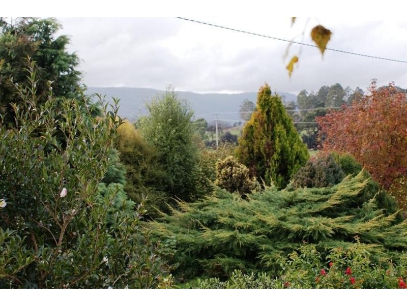 378 Liena Road, Liena TAS 7304