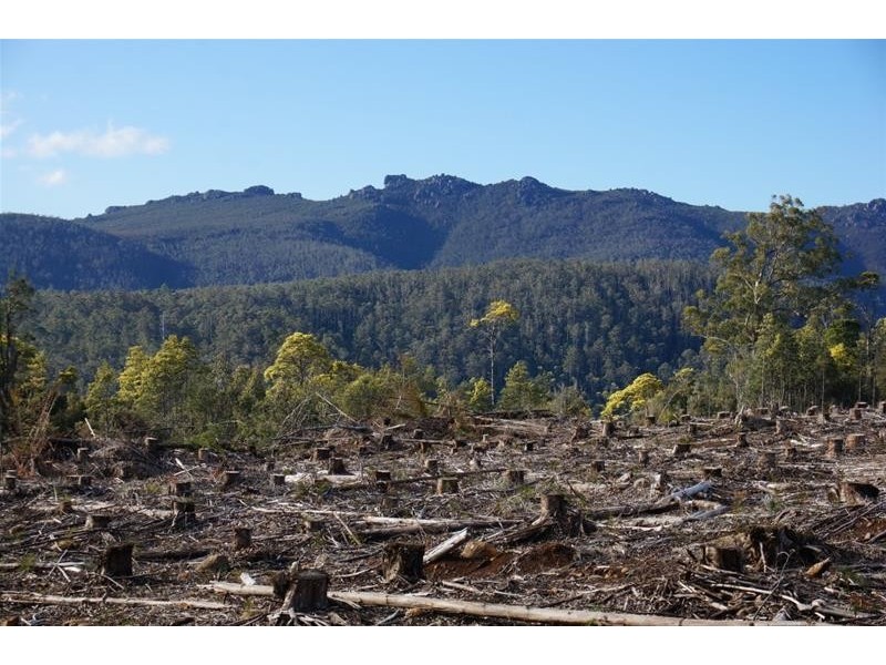 Lot 5 Old Gads Hill Road, Liena TAS 7304