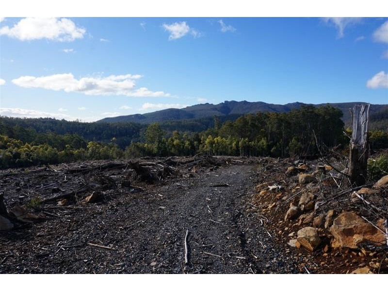Lot 5 Old Gads Hill Road, Liena TAS 7304