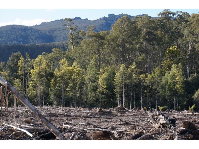 Lot 5 Old Gads Hill Road, Liena TAS 7304