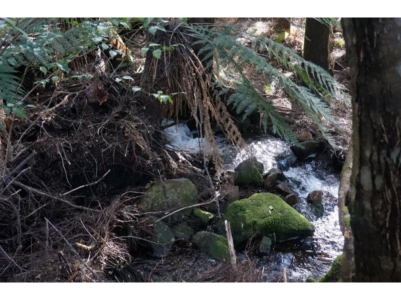 Lot 5 Old Gads Hill Road, Liena TAS 7304