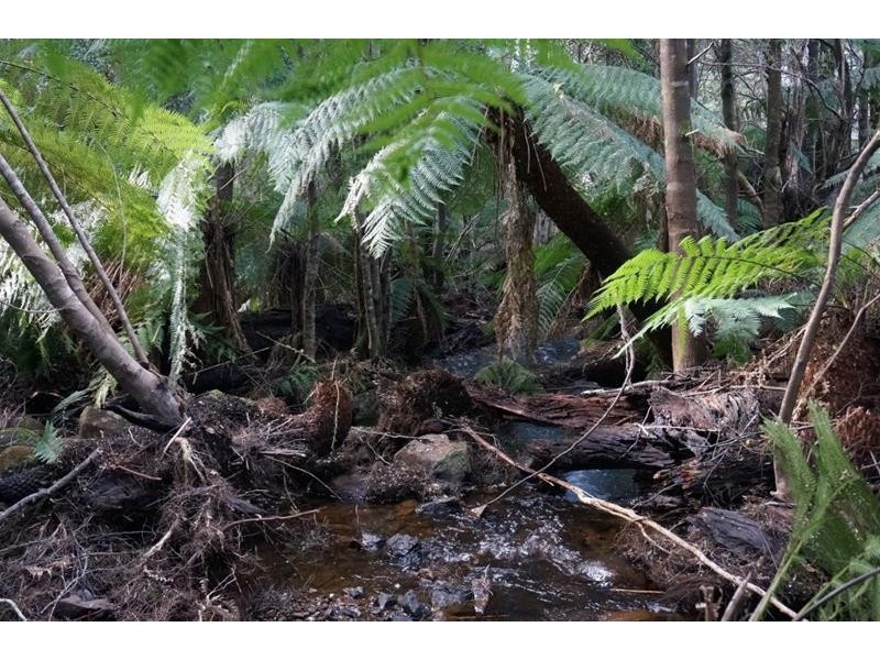 Lot 5 Old Gads Hill Road, Liena TAS 7304