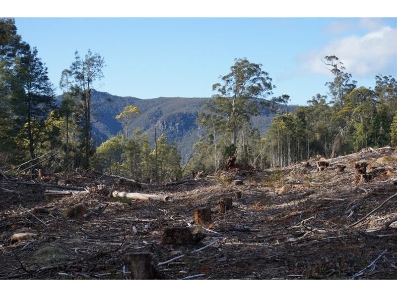 Lot 5 Old Gads Hill Road, Liena TAS 7304