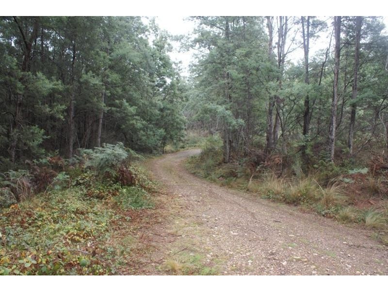 239 Wadley’s Road, Reedy Marsh TAS 7304