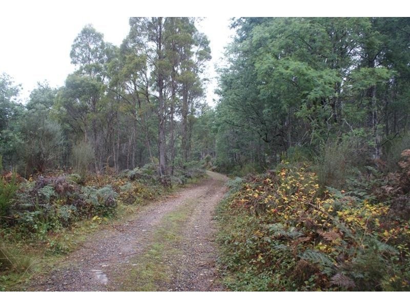 239 Wadley’s Road, Reedy Marsh TAS 7304