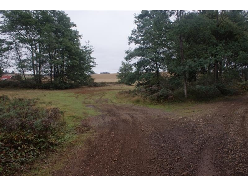 239 Wadley’s Road, Reedy Marsh TAS 7304