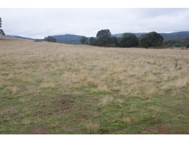 239 Wadley’s Road, Reedy Marsh TAS 7304