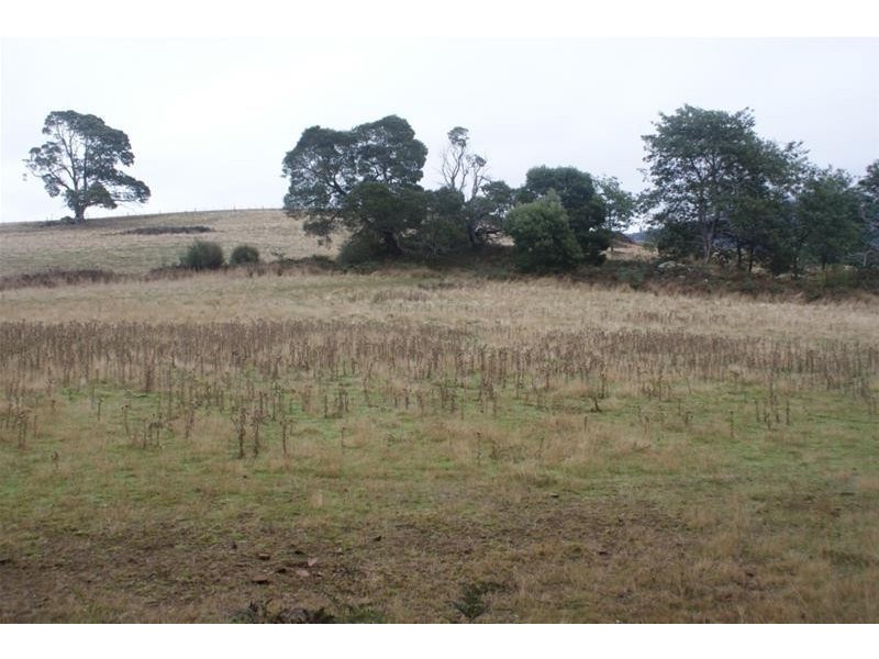 239 Wadley’s Road, Reedy Marsh TAS 7304