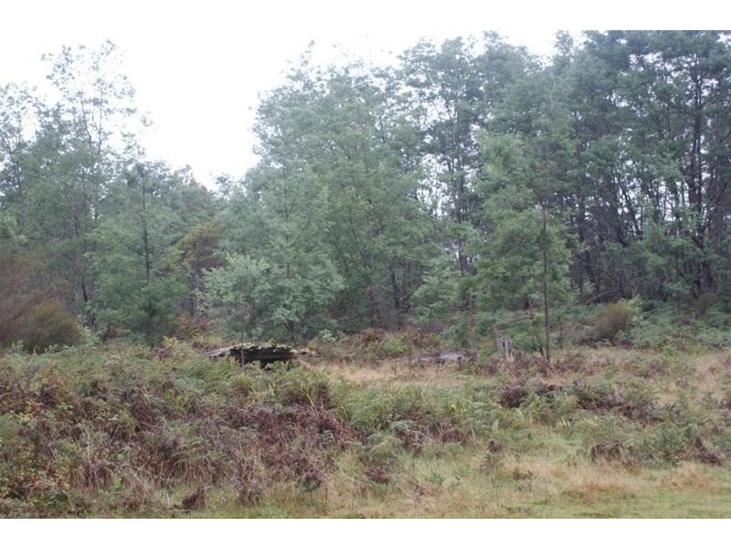 239 Wadley’s Road, Reedy Marsh TAS 7304