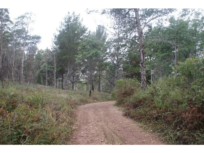 239 Wadley’s Road, Reedy Marsh TAS 7304