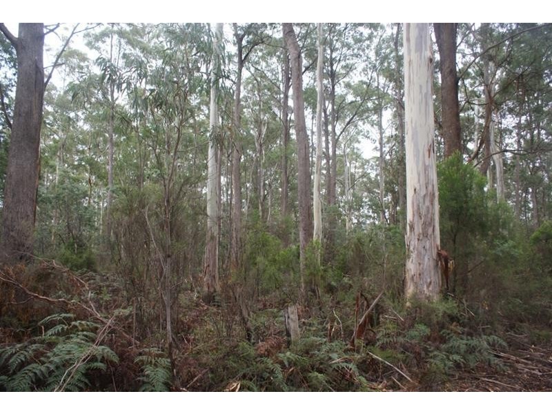 239 Wadley’s Road, Reedy Marsh TAS 7304