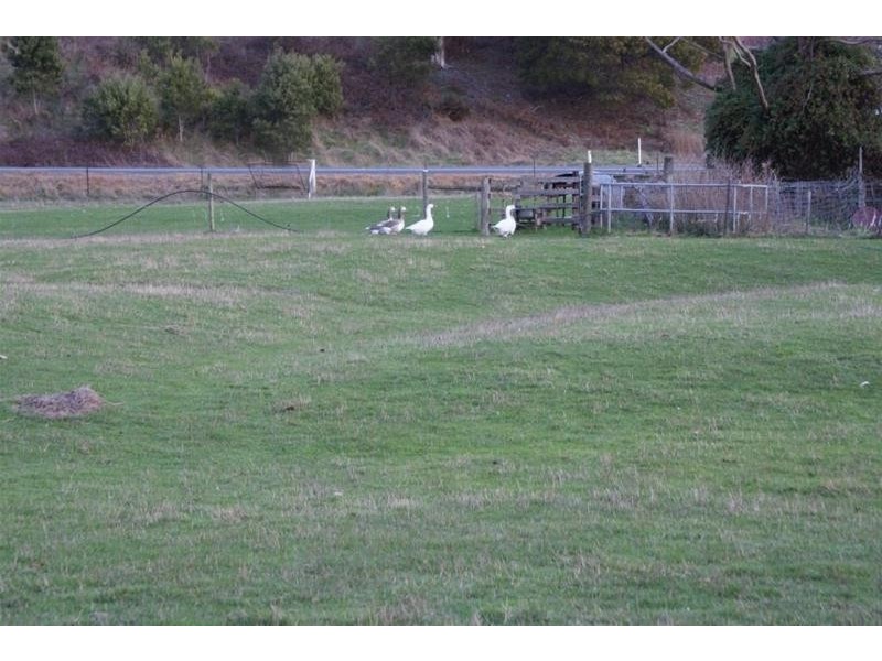 385 Liena Road, Mole Creek TAS 7304